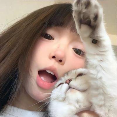 你好安妮