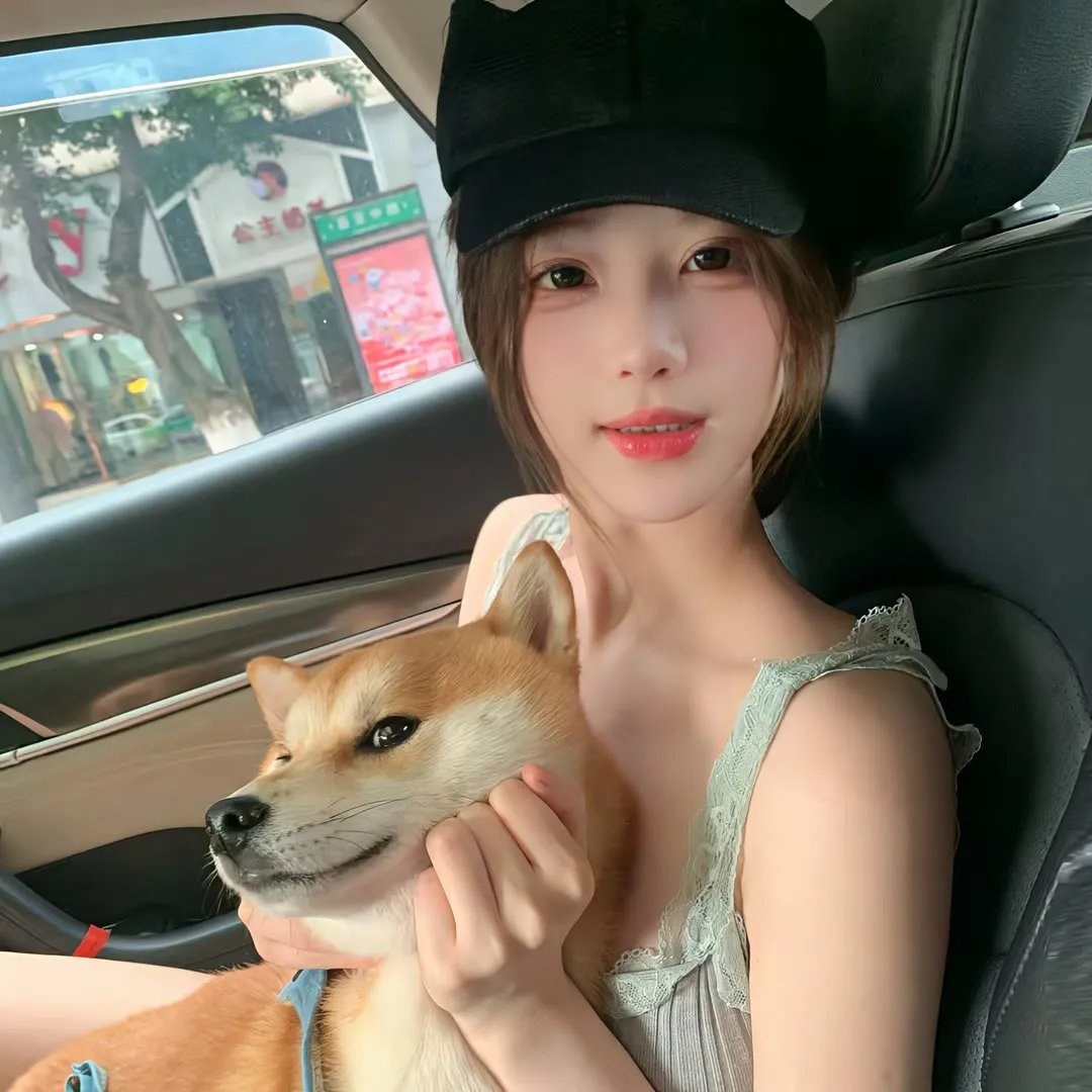乌衣夜行