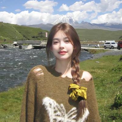 苏利文的旅行